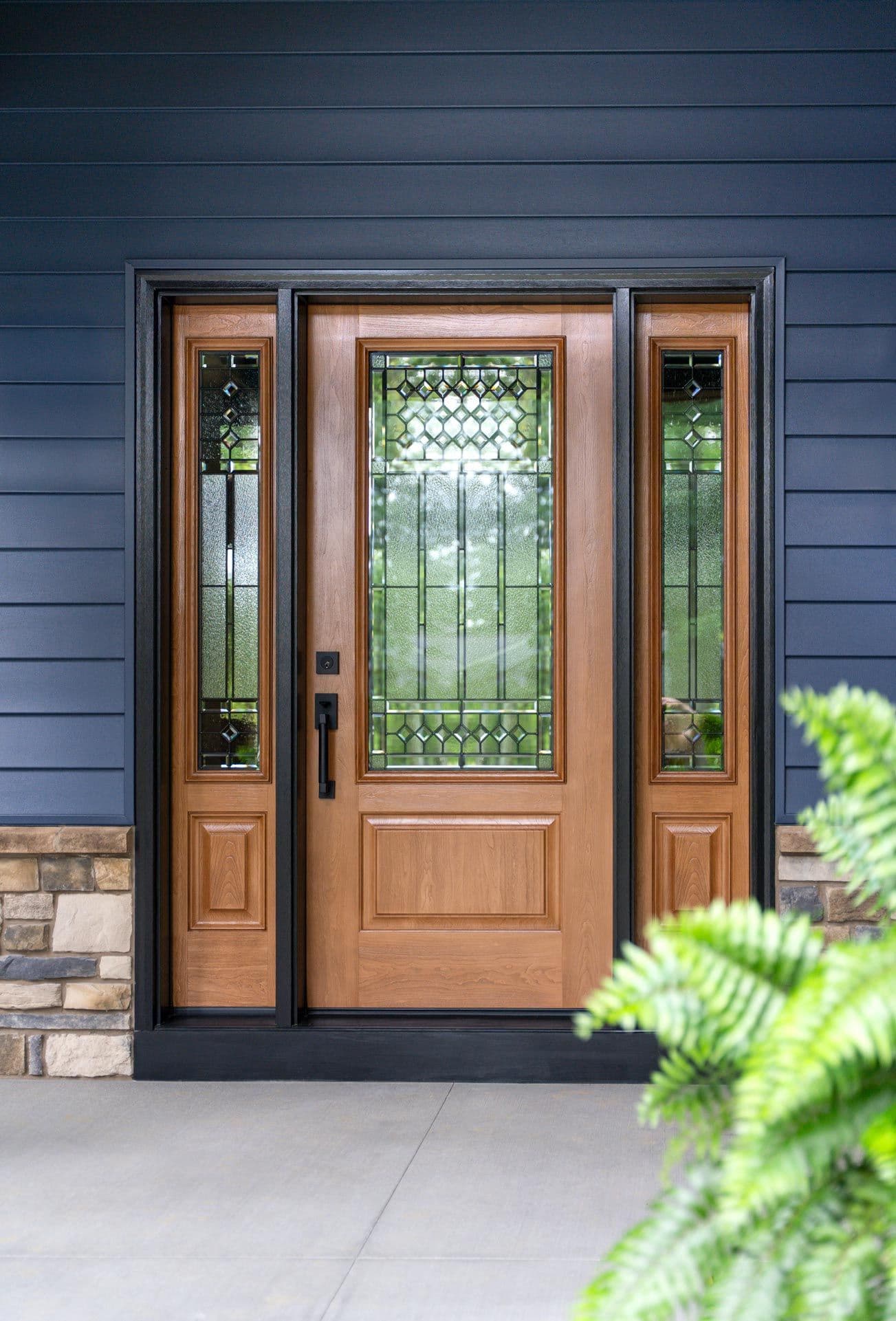 Provia - Entry Door